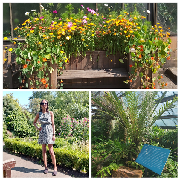 Glasgow Botanic Gardens