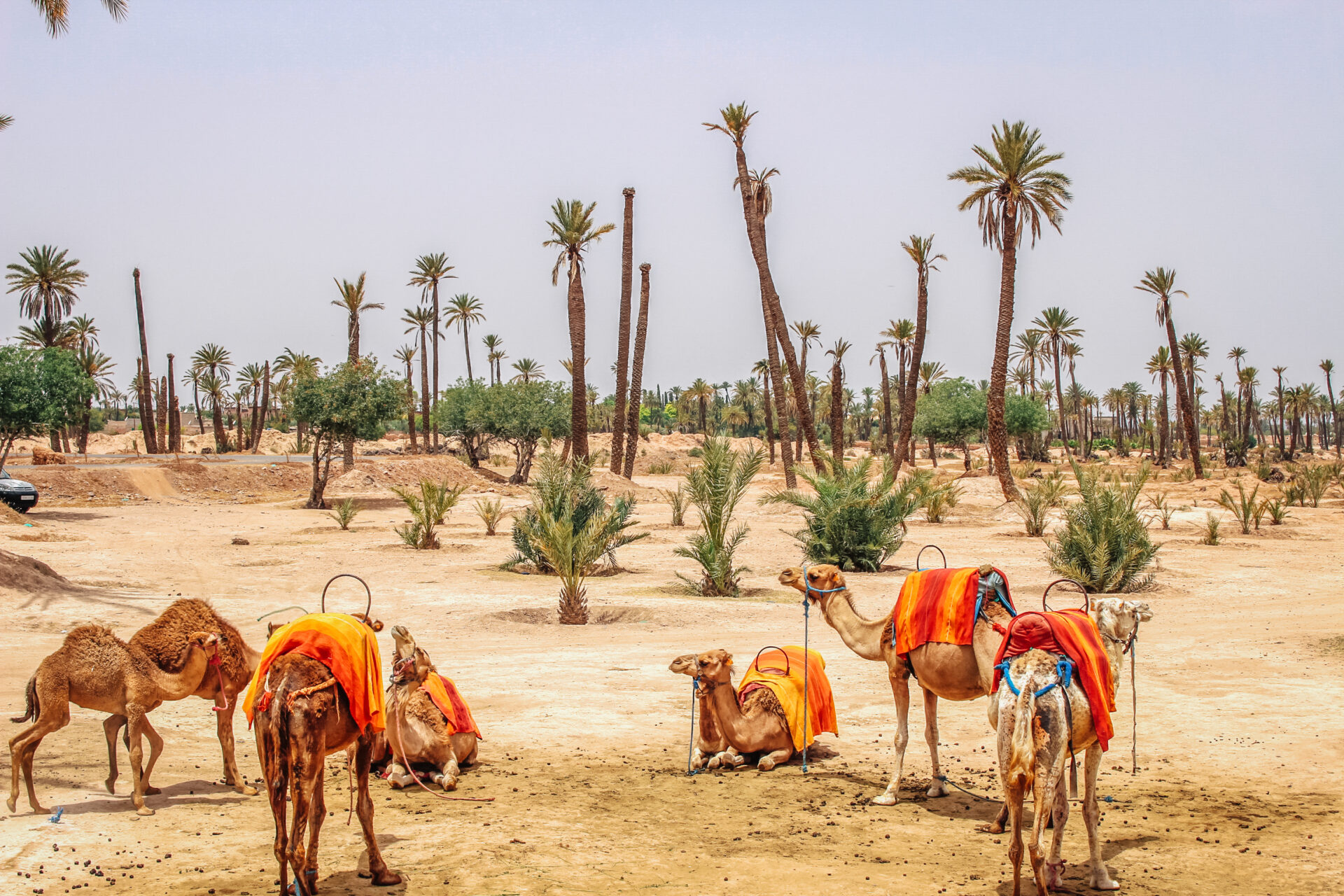 marrakesh
