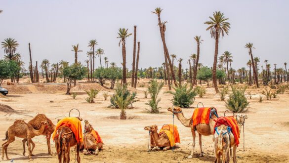 marrakesh