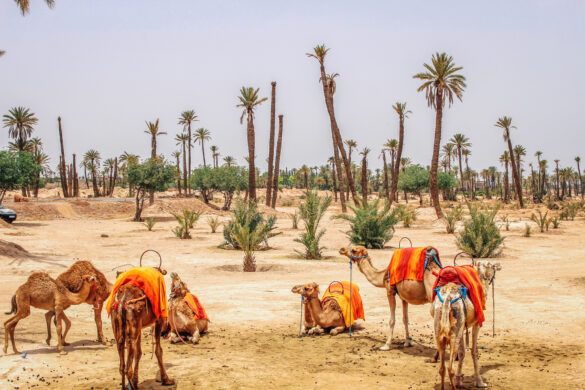 marrakesh