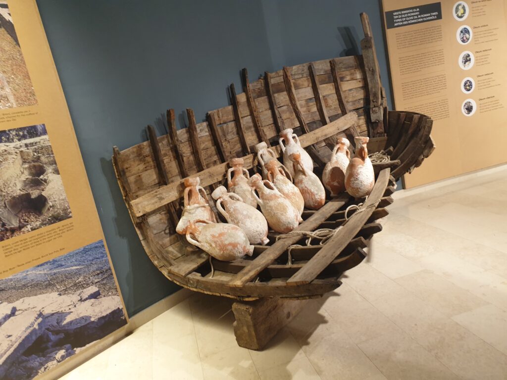 Istrian olive oil museum